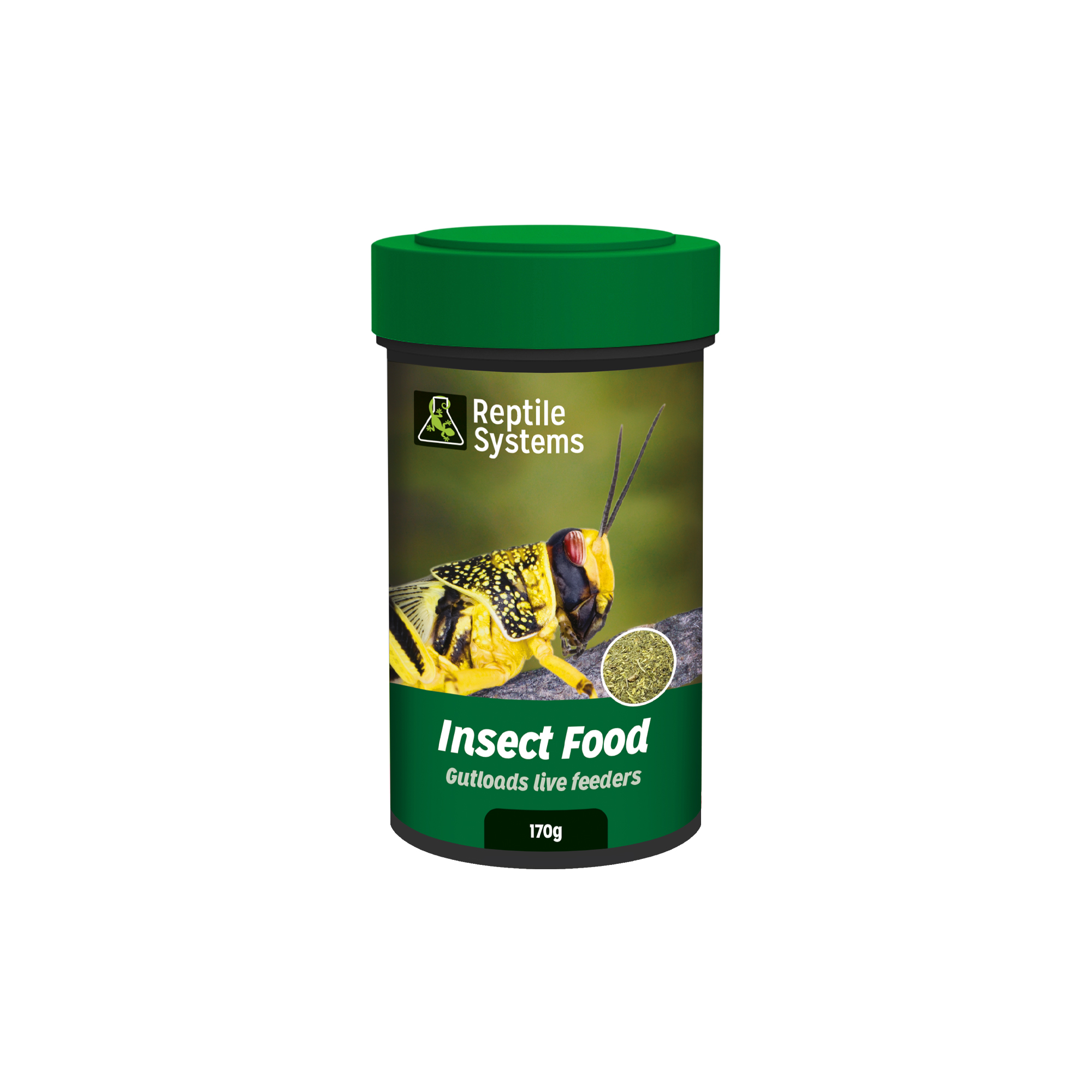 Insect Food UK