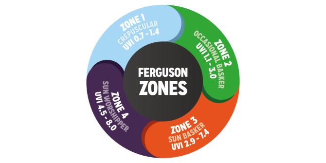 Ferguson Zone