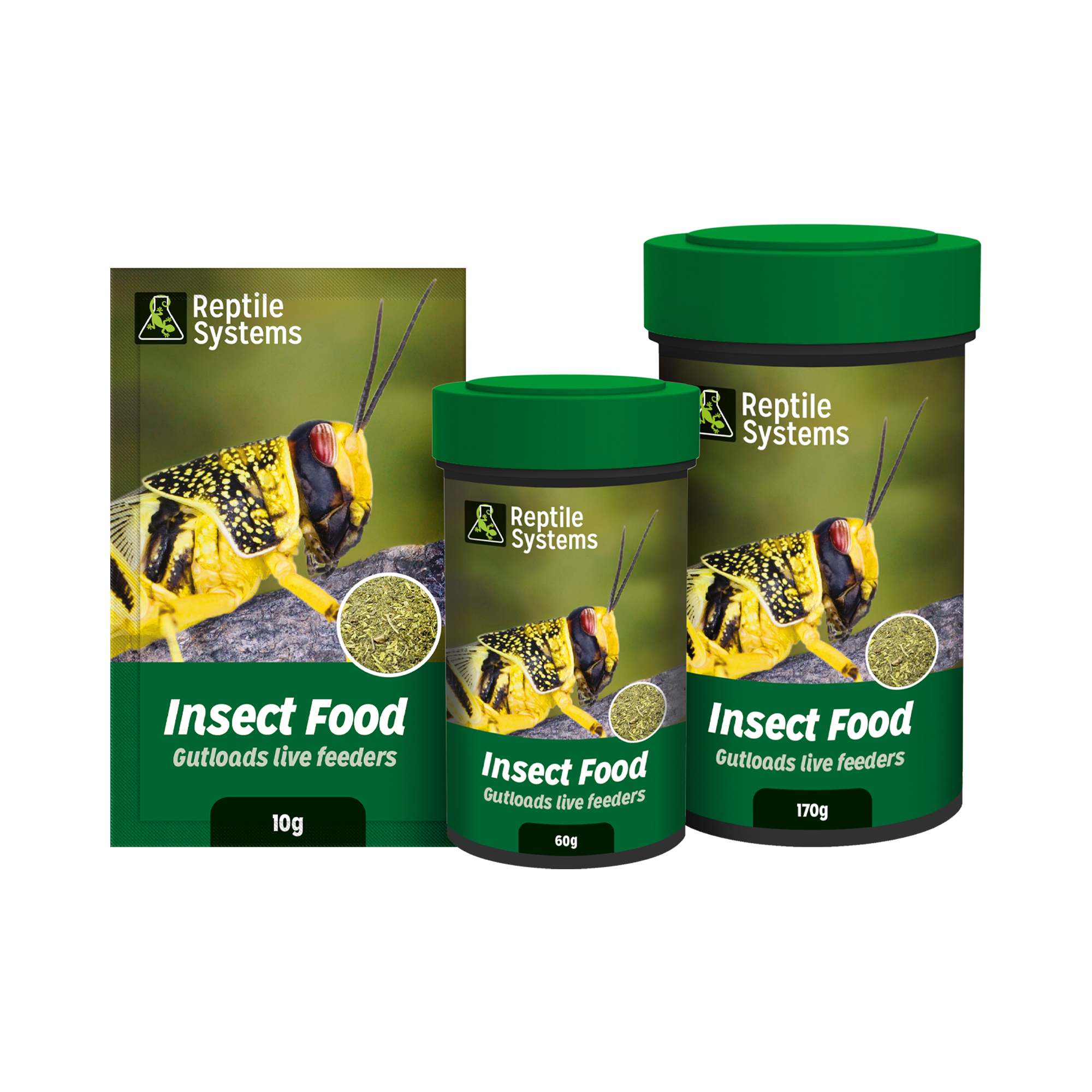 Insect Food UK