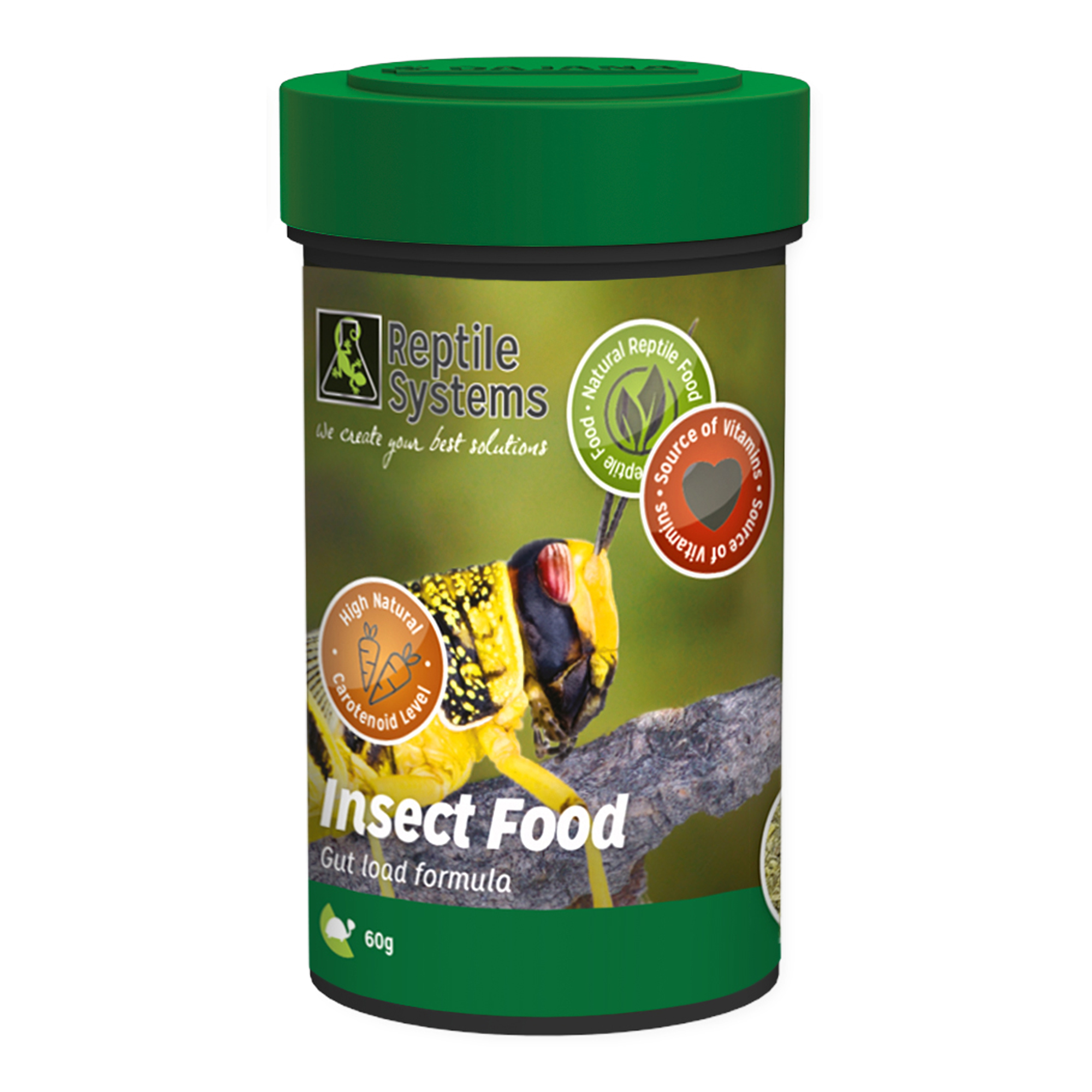 Insect Food UK