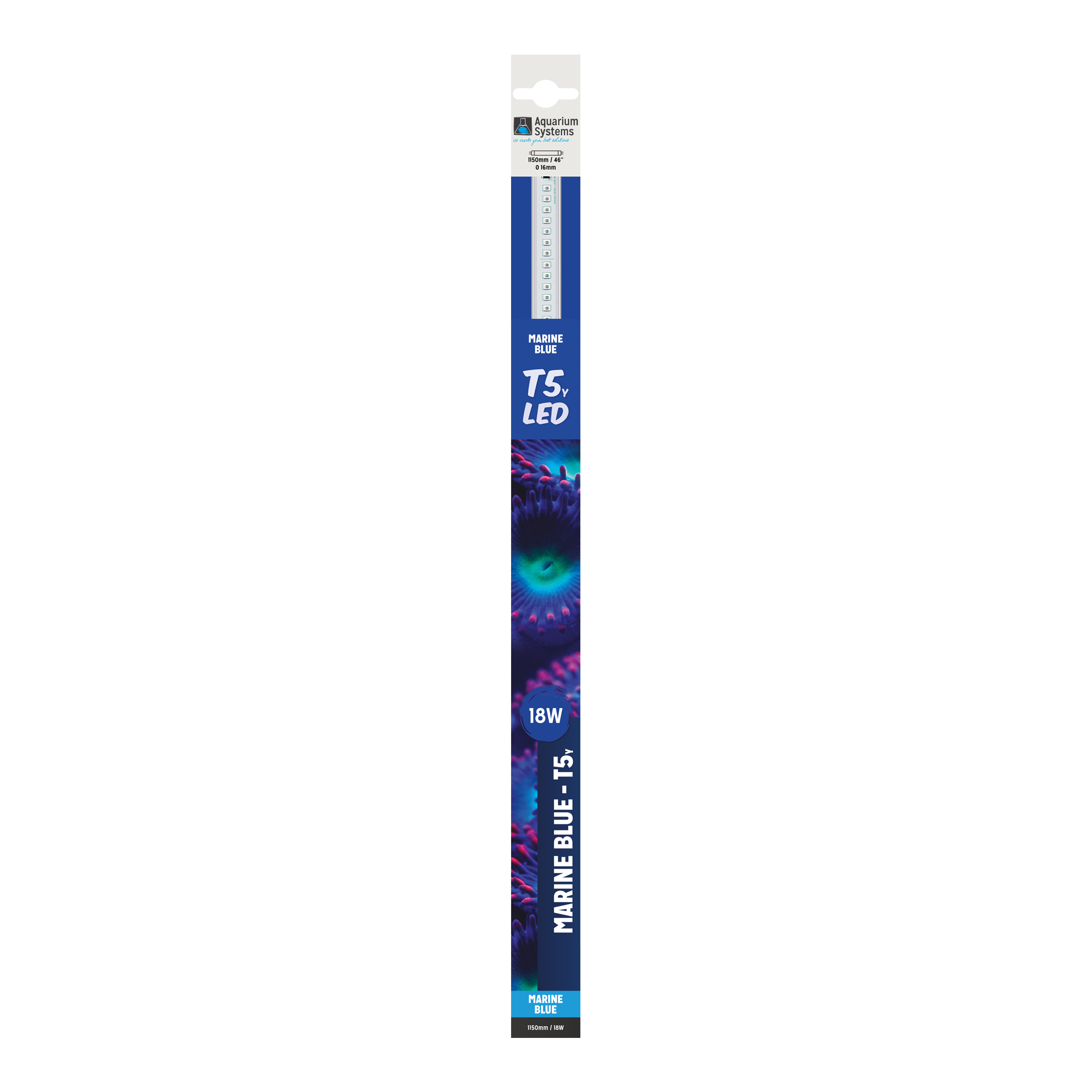 T5 LED Marine Blue UK